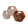 Holzlege ANTARES