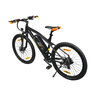 E-Racing Mountainbike R6 Neo V2, 26"