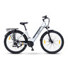 Trekking E-Bike TLR 709