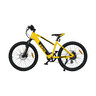 24" Teen Mountain E-Bike TR 7002