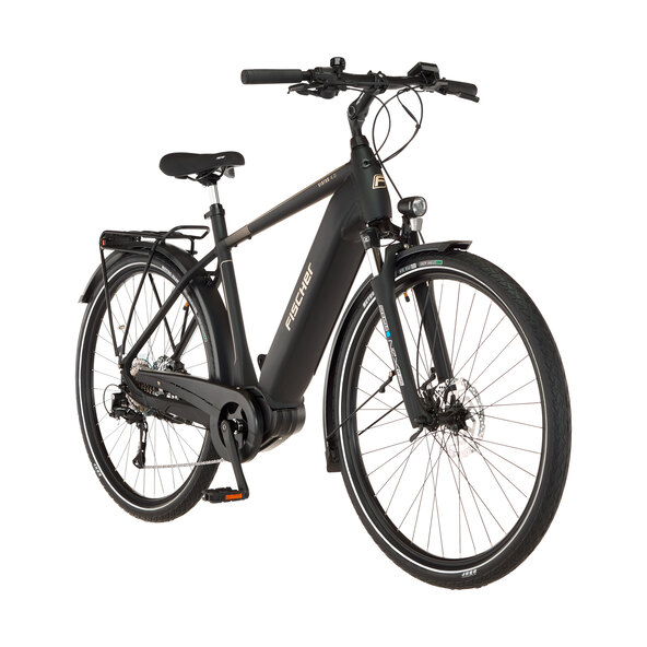 Trekking E-Bike VIATOR 4.2I 522, 55 cm