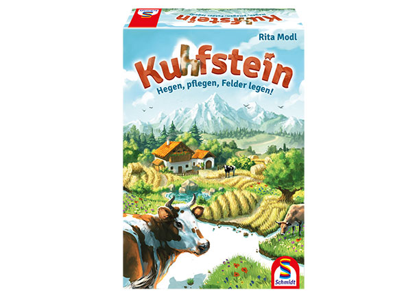 Familienspiel Kuhfstein