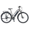 Trekking E-Bike Entdecker 1.3 Premium, Damen