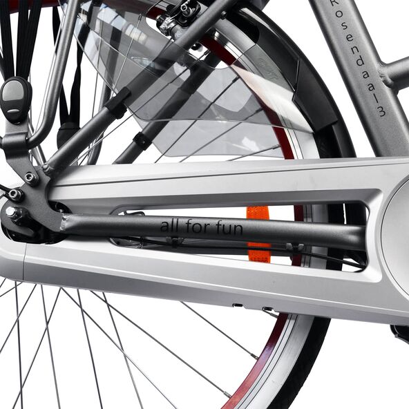 28" City-E-Bike Rosendaal 3 Lady, grau