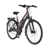Trekking-E-Bike VIATOR 1.0 Damen 422, Rahmenhöhe 44 cm