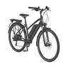 28“ E-Bike Trekking, Damen