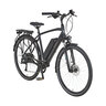 Trekking-E-Bike, Herren