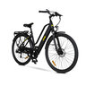 Trekking E-Bike TLR 7010