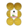 Citronella Teelichter, Maxi, 5er Set