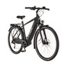 Trekking E-Bike VIATOR 4.2I 522, 55 cm