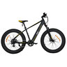 Mountain FAT E-Bike MHFR 7100