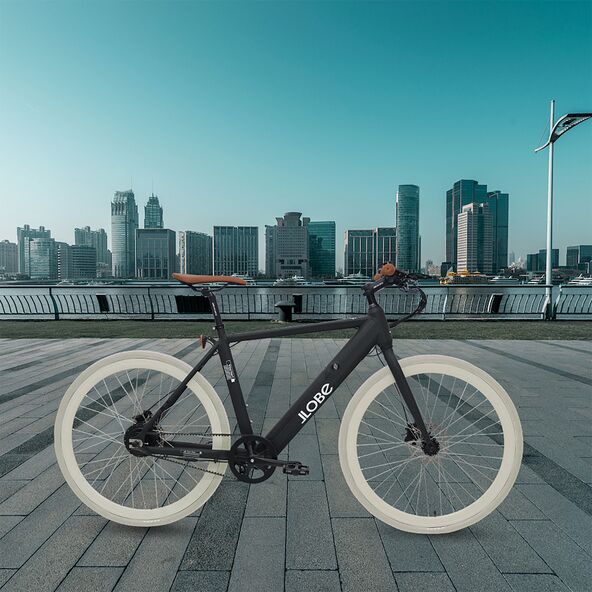 28" Fixie E-Bike Vincitori