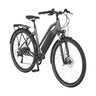Trekking E-Bike Entdecker 1.3 Premium, Damen