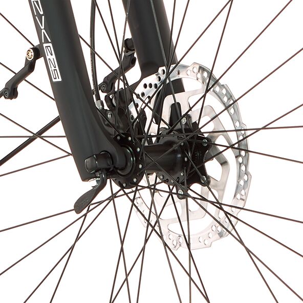 Trekking E-Bike VIATOR 4.2I 522, 55 cm