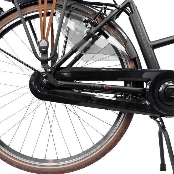 28" City-E-Bike Rosendaal 3 Lady, schwarz