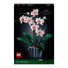 Icons Orchidee 10311