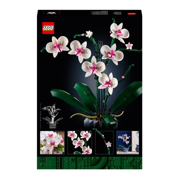 Icons Orchidee 10311
