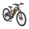 E-MTB Graveler, 24 Zoll