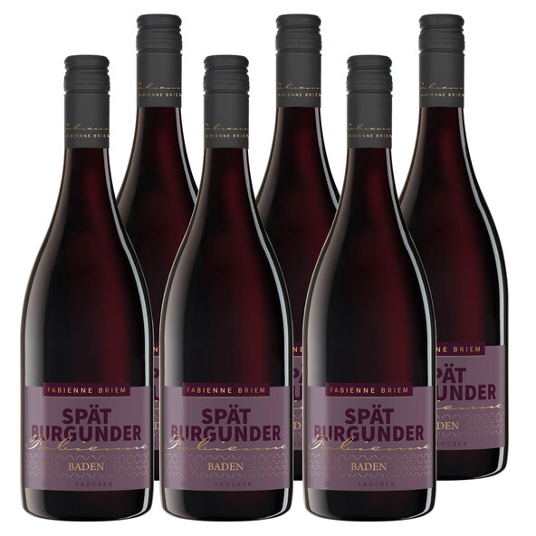 Baden Spätburgunder Rotwein, 6 Flaschen á 0,75 l