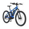 E-Mountainbike Montis EM 1862