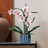 Icons Orchidee 10311