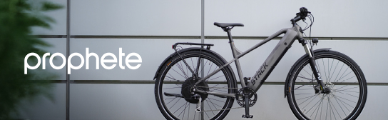 Prophete E-Bike steht vor heller Wand
