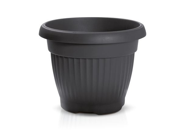 productNameHtml