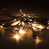 Smart-Home-Lichterkette, warmweiß, 40 LEDs