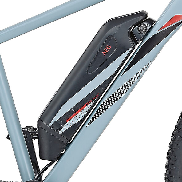 E-Mountainbike Graveler 29", 9-Gang