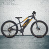 E-Mountainbike Graveler, 24 Zoll
