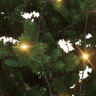 Smart-Home Tannenbaum-Lichterkette, 300 LEDs, warmweiß