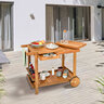 Outdoor Grill Trolley, Servierwagen mit 2 Tabletts