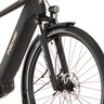 Trekking E-Bike VIATOR 4.2I 522, 55 cm