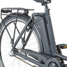 E-Bike Geniesser 1.0 28"
