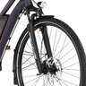 Trekking-E-Bike VIATOR 1.0 Damen 422, Rahmenhöhe 44 cm