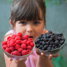 Beeren-Mix Beerenduett, 2er-Set