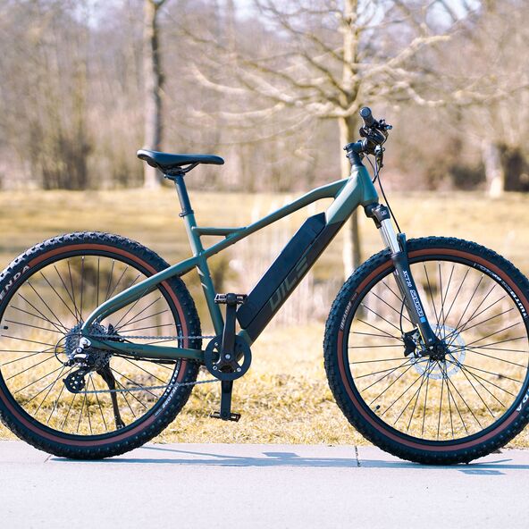 E-Mountainbike Dice 1.0 Action