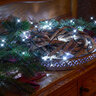 2 in 1 Lichterkette, 80 LED