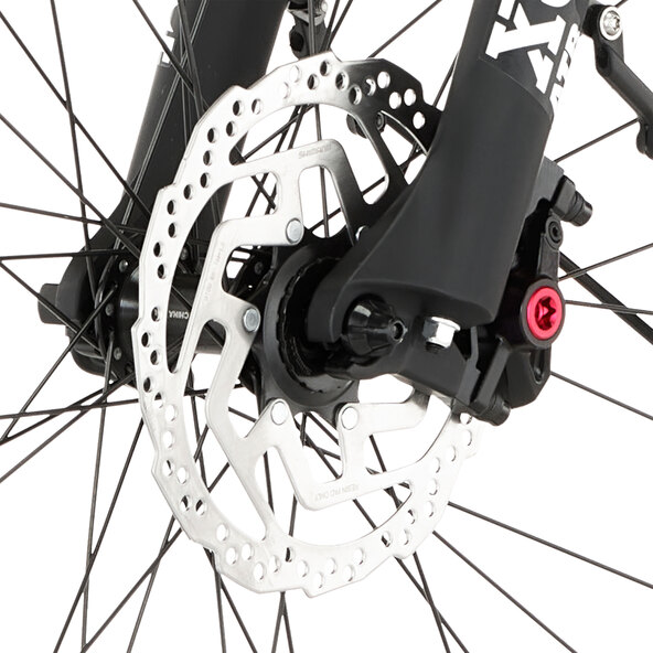 E-Bike Cita 8.0, 50 cm (28")