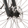 Trekking E-Bike VIATOR 4.2I 522, 55 cm