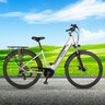 Trekking E-Bike TLM 709 mit Mittelmotor