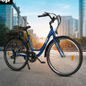 City-E-Bike ECR 3005