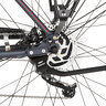 Trekking-E-Bike VIATOR 1.0 Herren 422, Rahmenhöhe 50 cm