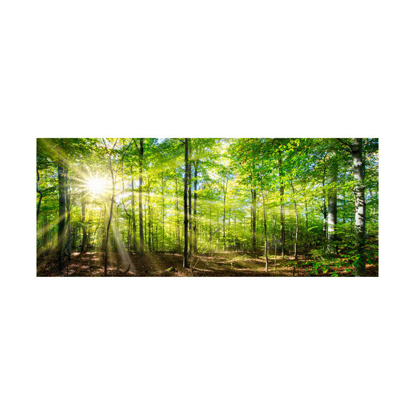 Infrarot-Wandheizung, Forest