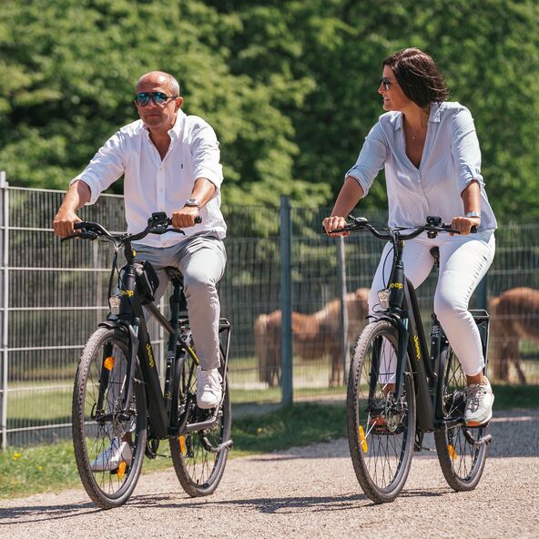 Trekking E-Bike TMR 7030