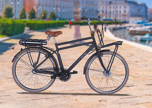 Alu-Elektro-City-Bike, versch. Modelle Alu-Elektro-City-Bike, versch. Modelle