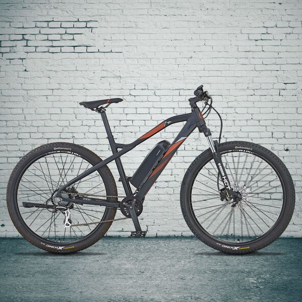 29" E-Mountainbike Graveler, 8-Gang