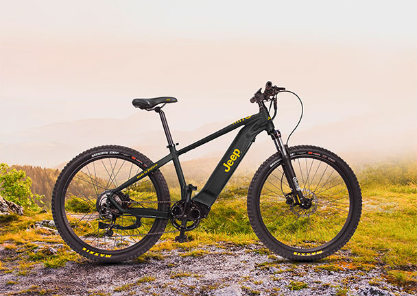 Mountain E-Bike MHM 7000 Mountain E-Bike MHM 7000