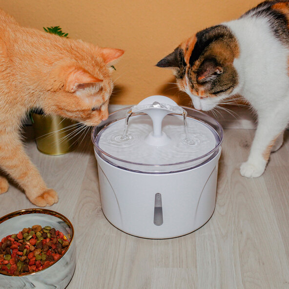 Wasserspender für Tiere