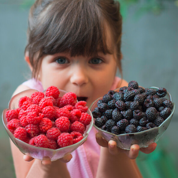 Beeren-Mix Beerenduett, 2er-Set